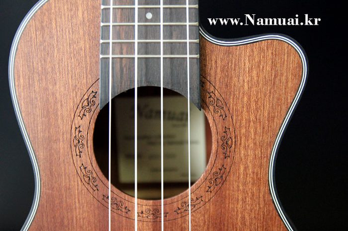 Namuai rosette and soundhole detail, engraved body